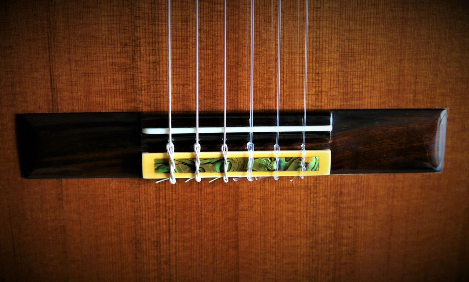 Peter Fletcher Schedule Classical Guitar Performances & Events